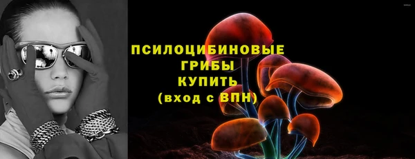 соль ск Алзамай
