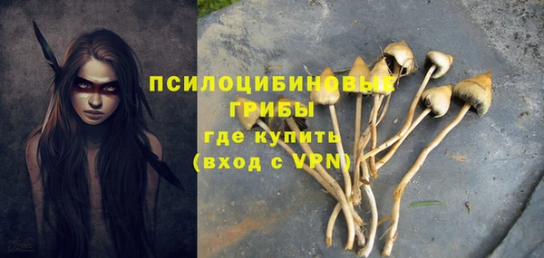 соль ск Алзамай