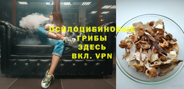 ПСИЛОЦИБИНОВЫЕ ГРИБЫ Алексеевка