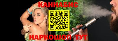 крисы Кулебаки