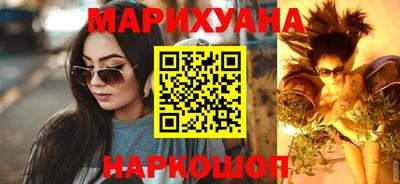 крисы Кулебаки