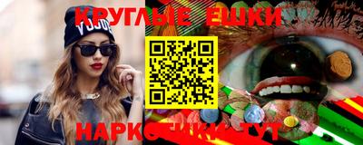 крисы Кулебаки
