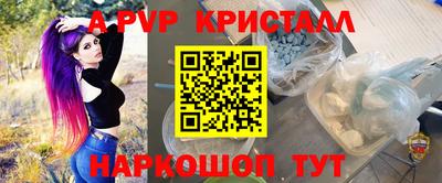 крисы Кулебаки