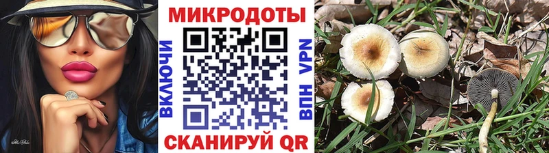 Галлюциногенные грибы мицелий Карпинск